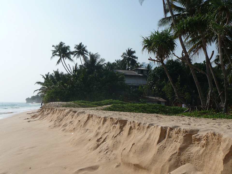 5 Hotel Haus am Meer Wilde Ananas