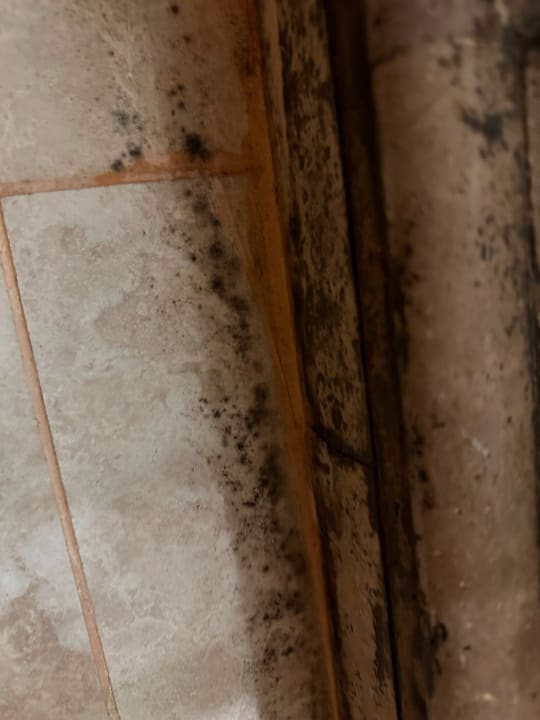 Zimmer Hotel Cesme Kanuni Kervansaray