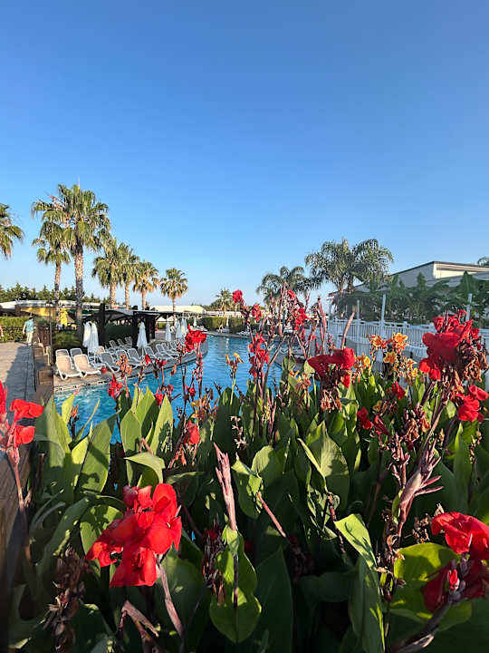 Pool Adalya Elite Lara