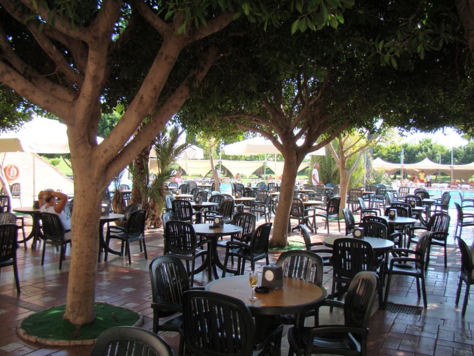 Бар Limak Limra Hotel & Resort