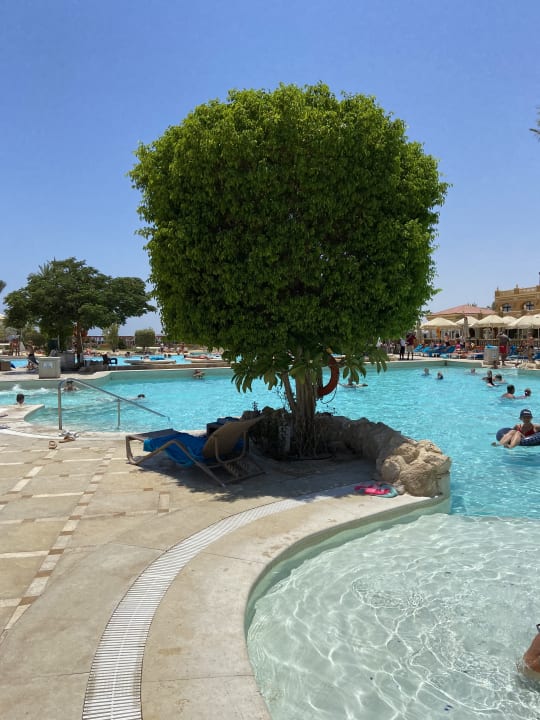 Pool Grand Waterworld Makadi & Family Star Makadi