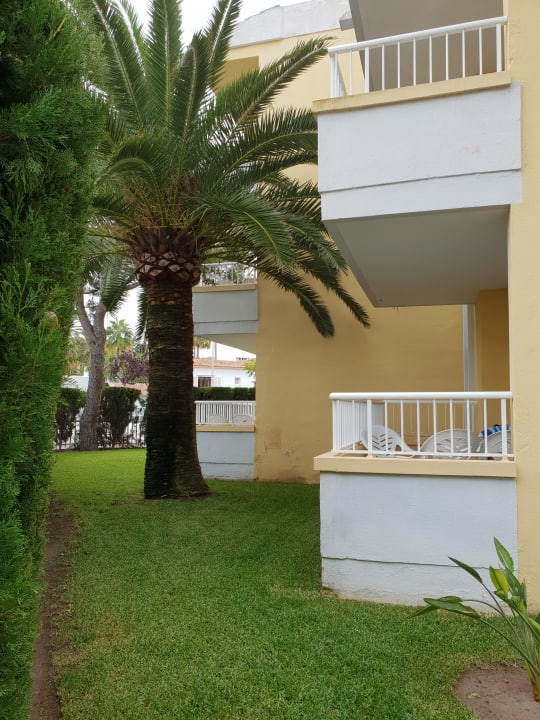 Zimmer Alcudia Garden Aparthotel