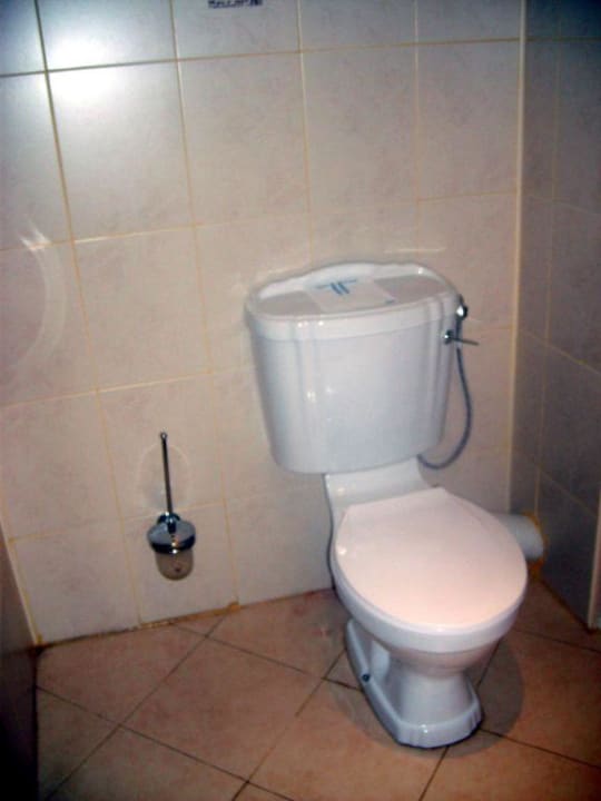 Toilet Flamingo Hotel