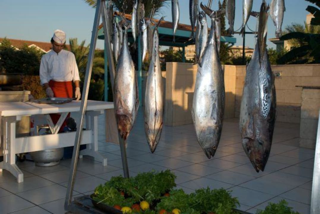 Wieczorny fish grill Asteria Family Resort Side
