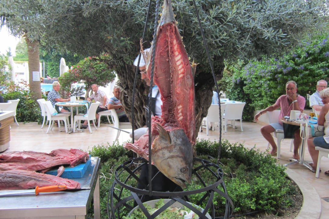 Thunfisch zerlegt und gegrillt Port Side Resort Hotel