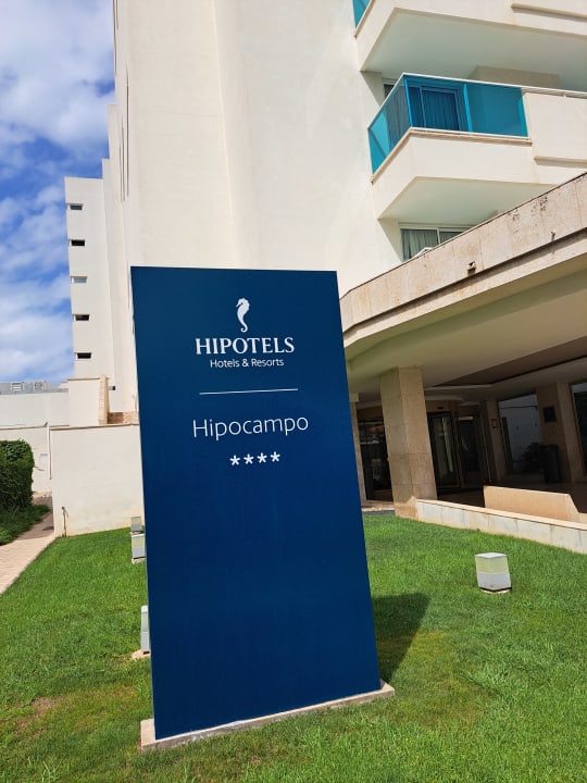 Sonstiges Hipotels Hipocampo
