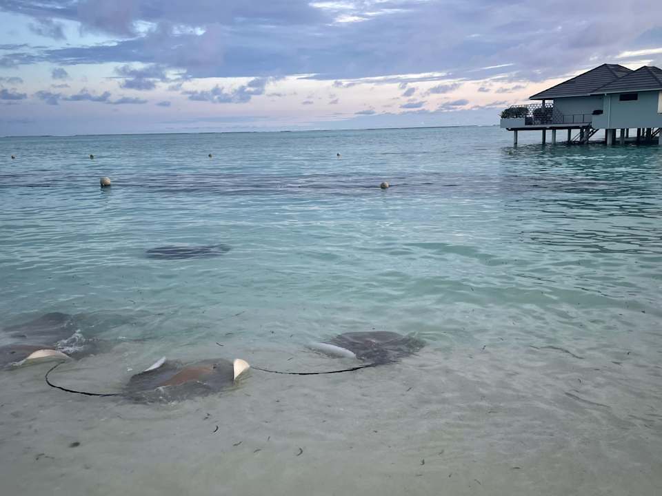 Sonstiges Villa Park Sun Island