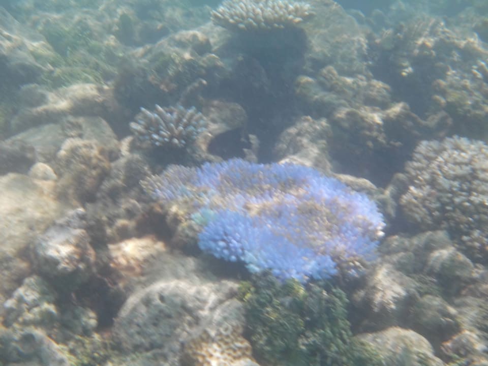 Sport & Freizeit Meeru Maldives Resort Island