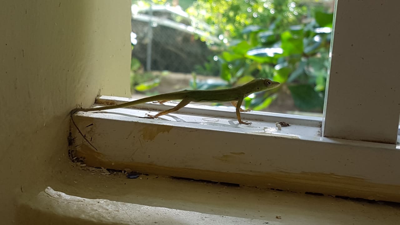 Zimmer Ocean Blue & Sand