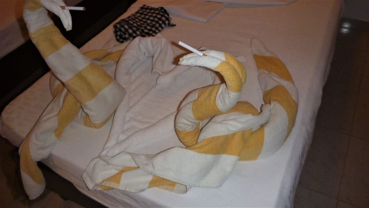 Zimmer Menaville Safaga