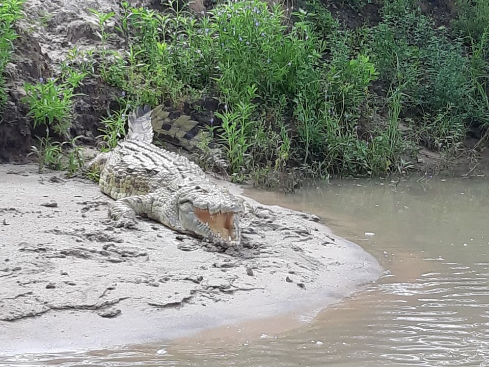 Sport & Freizeit Hotel Rufiji River Camp