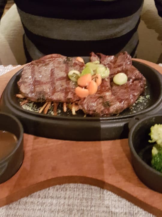 Gastro Acanthus Cennet Barut Collection