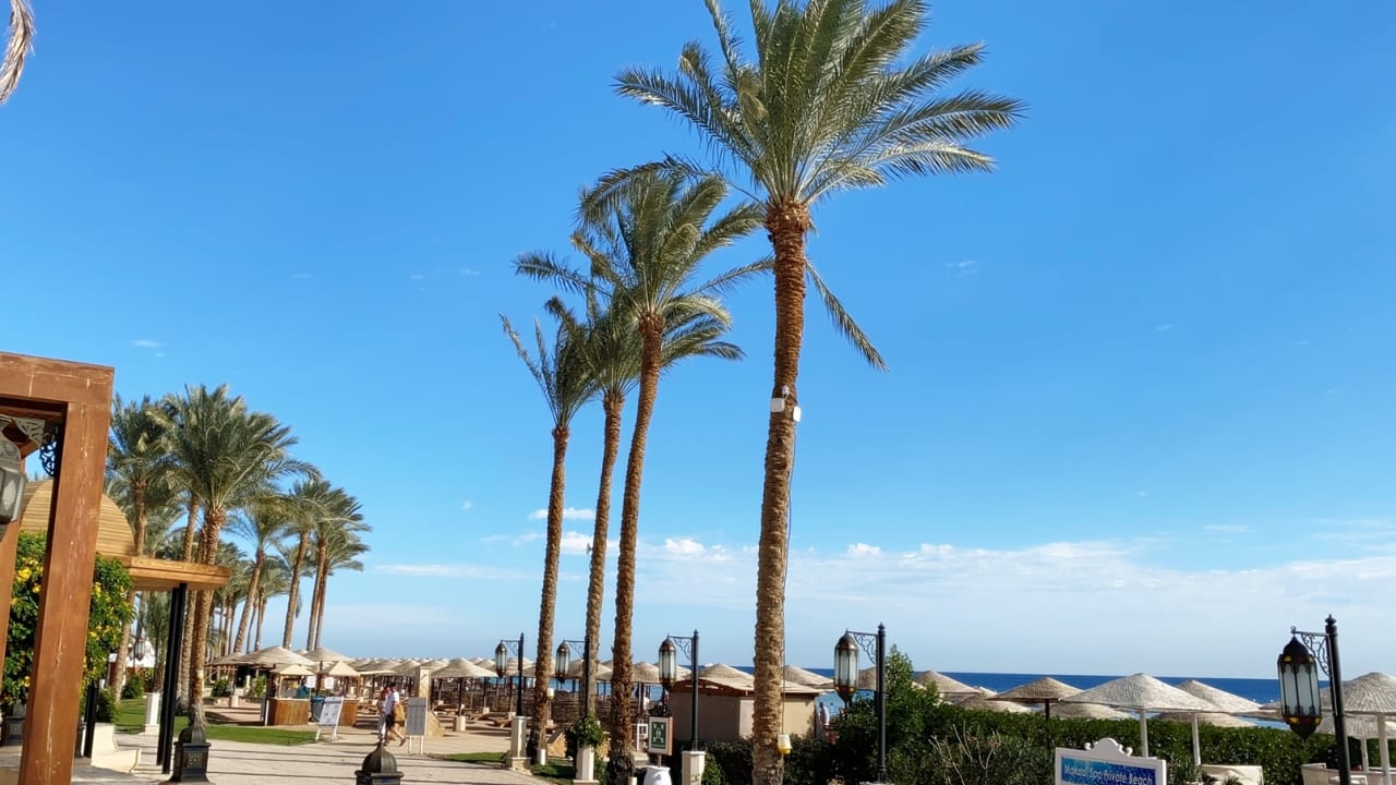 Ausblick Makadi Spa - Adults only