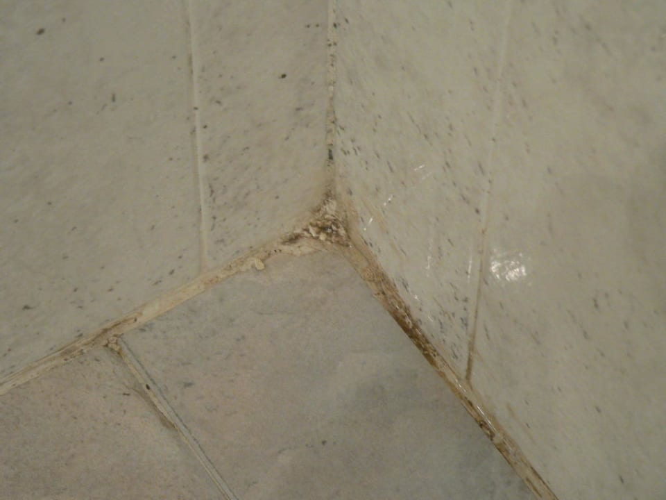 Bad Club Jandia Princess