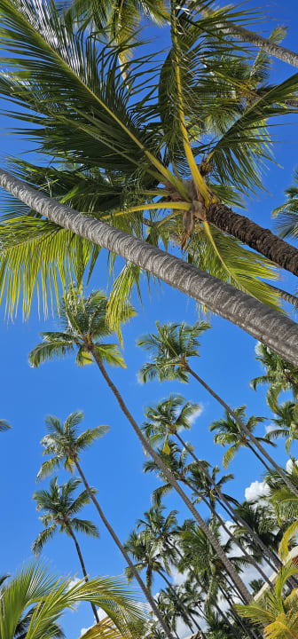 Strand Barceló Bávaro Palace