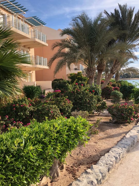 Gartenanlage Mövenpick Resort & Spa El Gouna