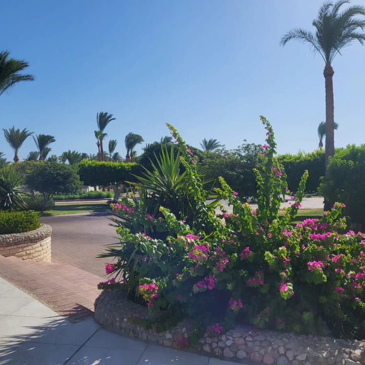 Gartenanlage Pharaoh Azur Resort