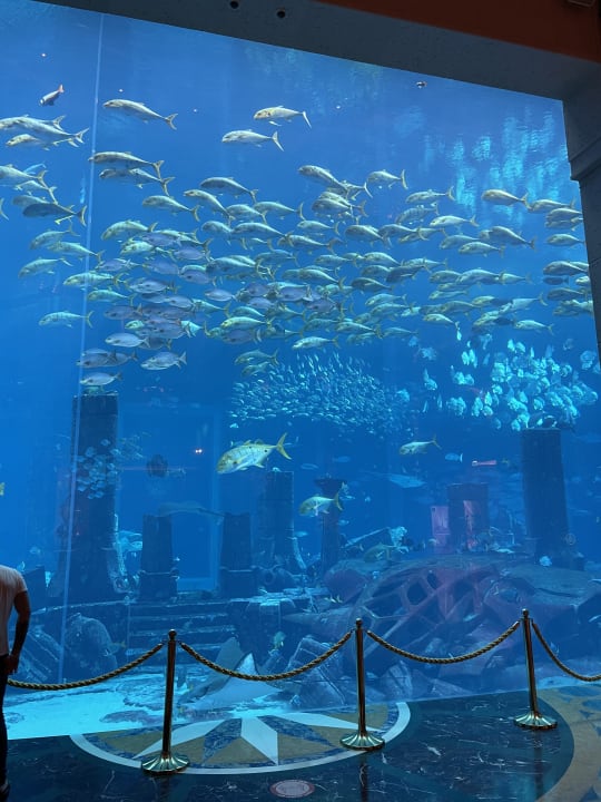 Sport & Freizeit Atlantis, The Palm