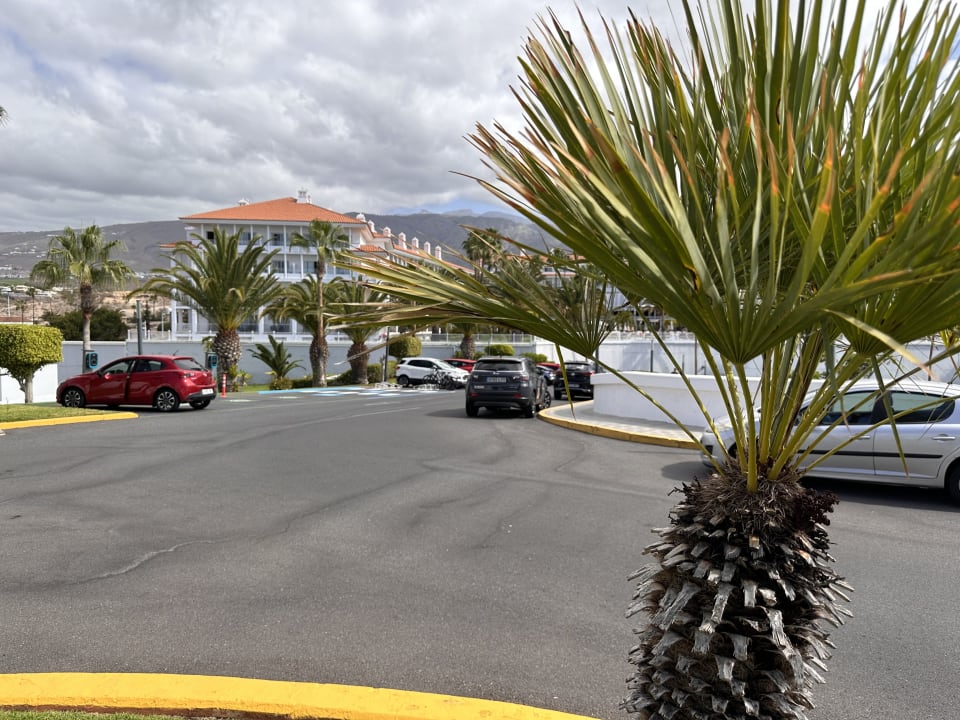 Ausblick Hotel Riu Palace Tenerife