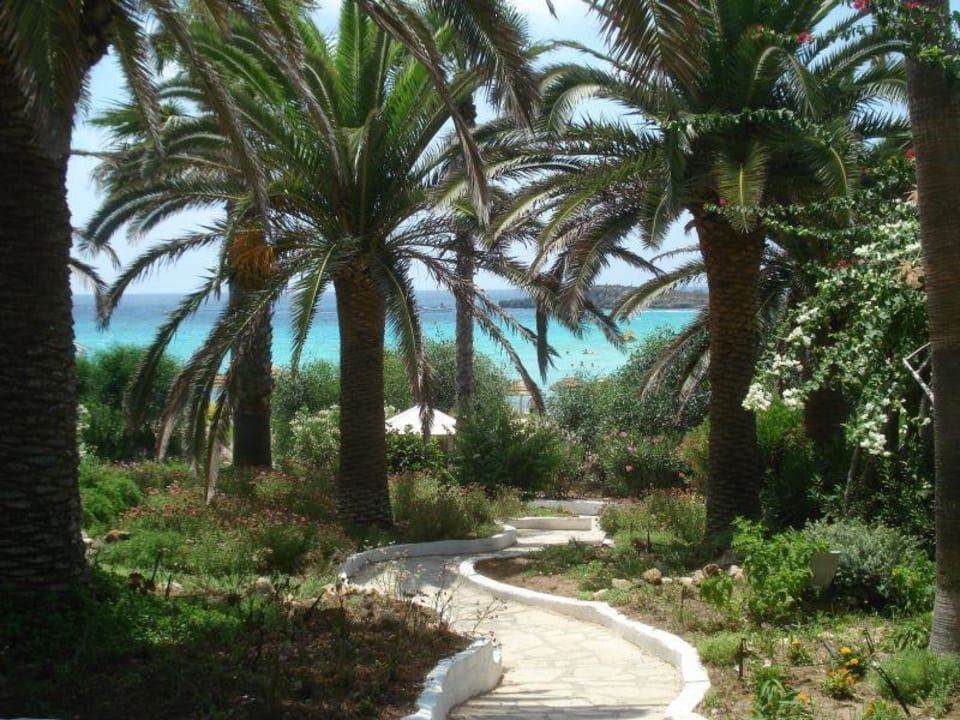 Wunderbarer Garten Hotel Nissi Beach Resort