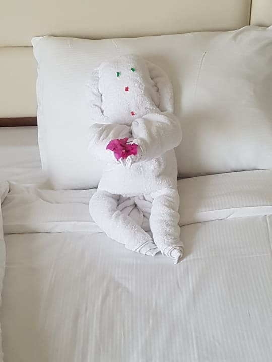 Zimmer Pickalbatros Royal Moderna Resort-Sharm El Sheikh