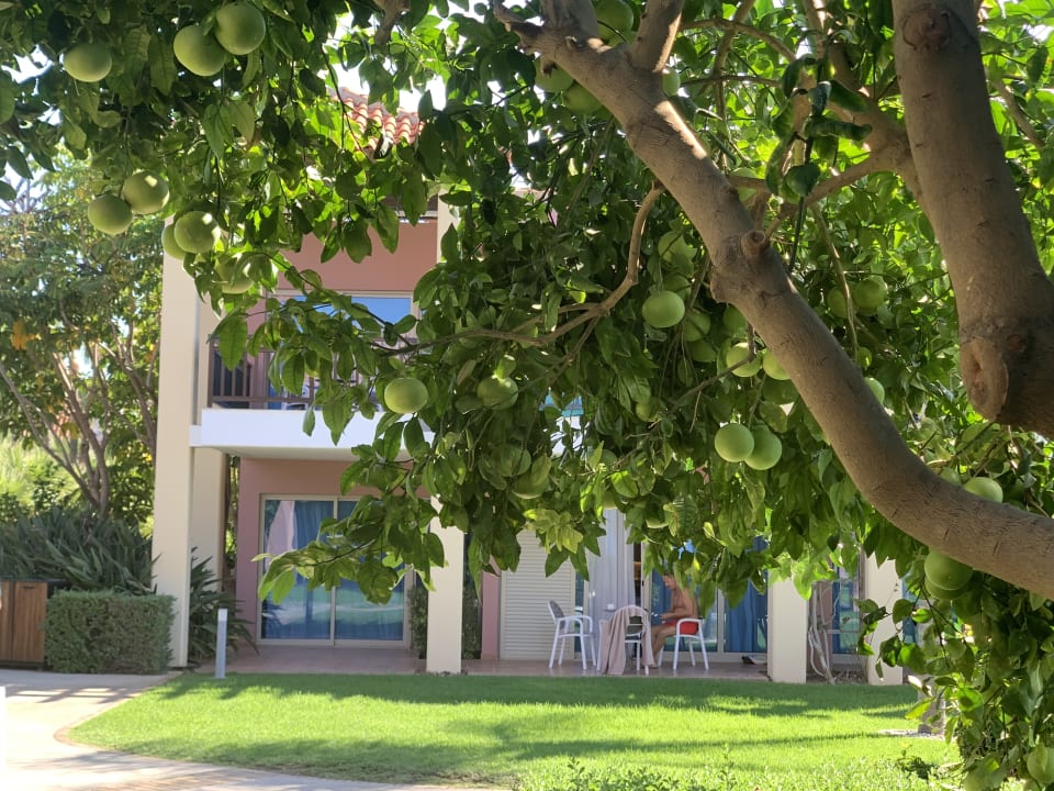 Außenansicht ROBINSON CYPRUS