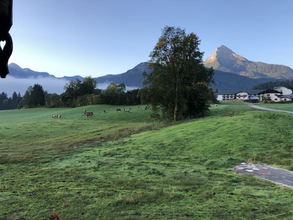 Ausblick Kressenlehen FeWo