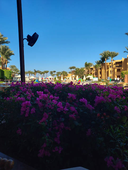 Ausblick Stella Beach Resort & Spa Makadi Bay