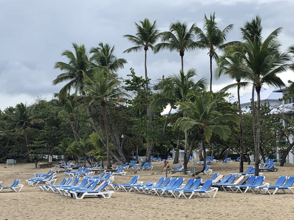 Strand Grand Paradise Playa Dorada