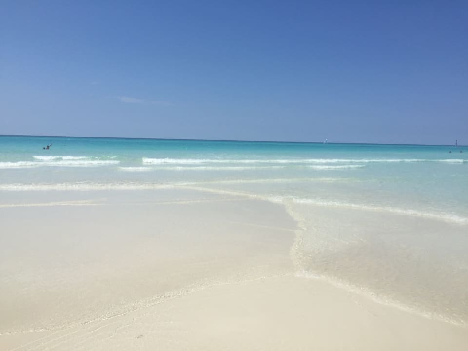 Strand Starfish Cuatro Palmas