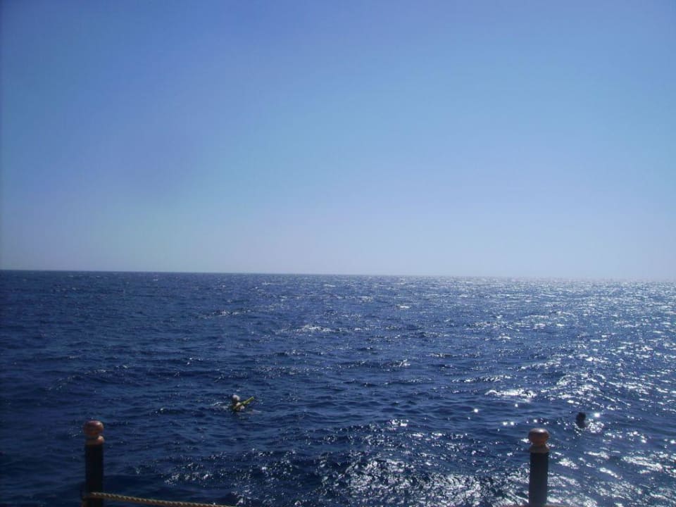 Meer Serenity Alpha Beach