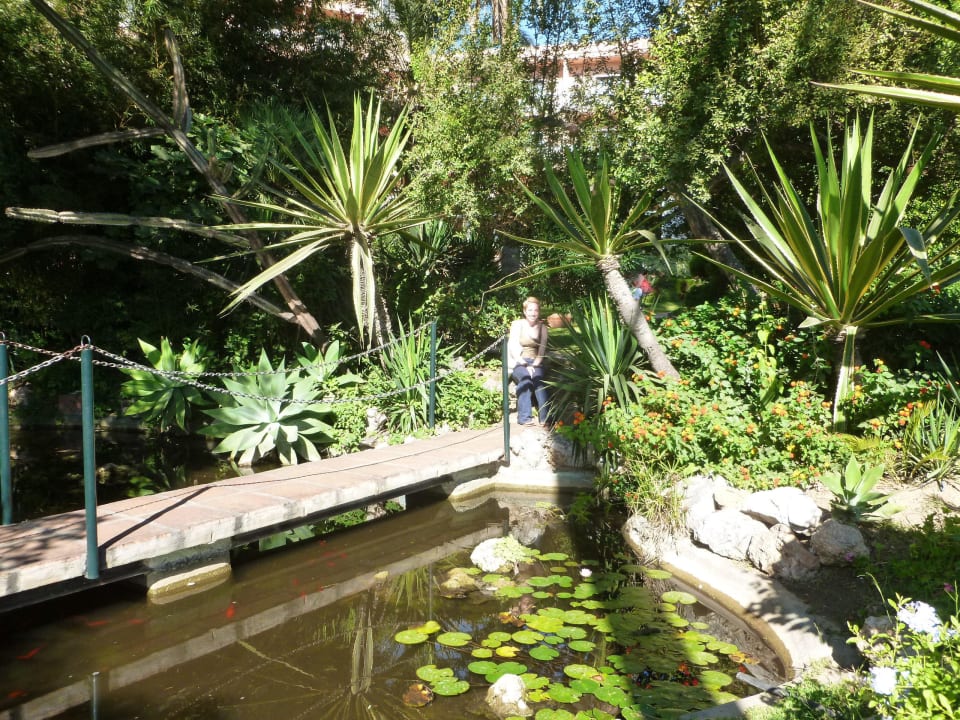 Jardin romantique du Siroco Hotel Best Siroco