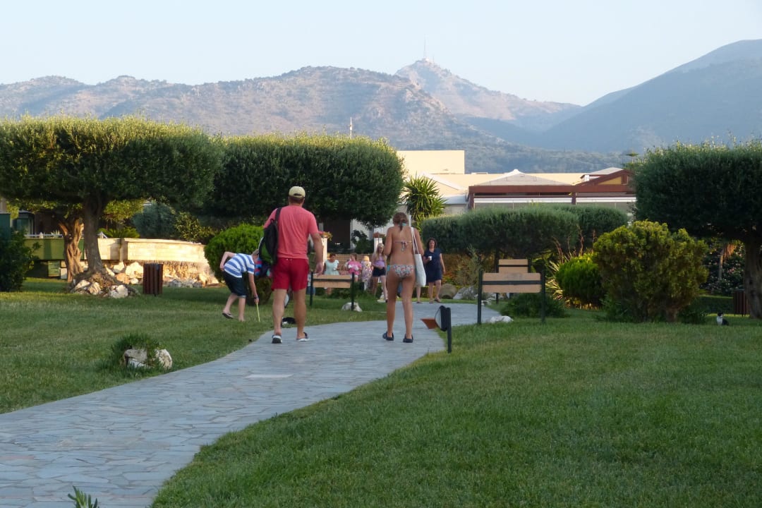 Ogród Hotel Mareblue Beach