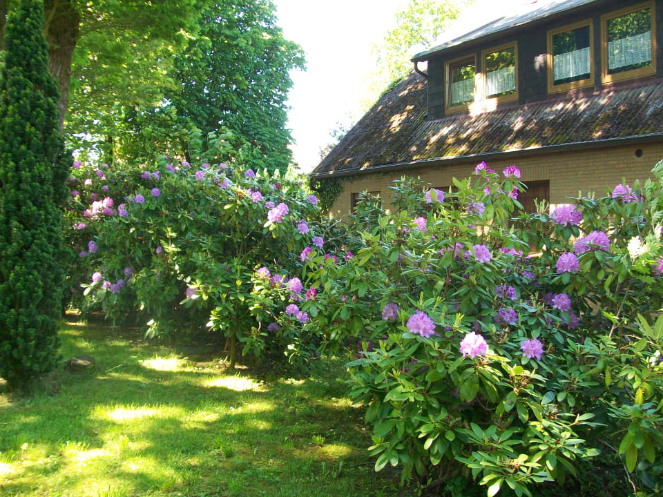 Außenansicht Haus Darmstadt