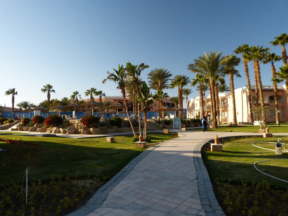 Gartenanlage Beach Albatros Resort