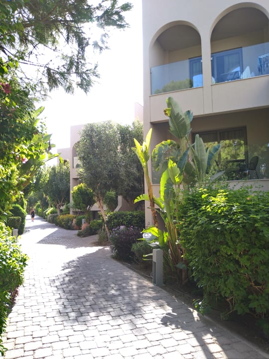 Gartenanlage Atlantica Aegean Blue