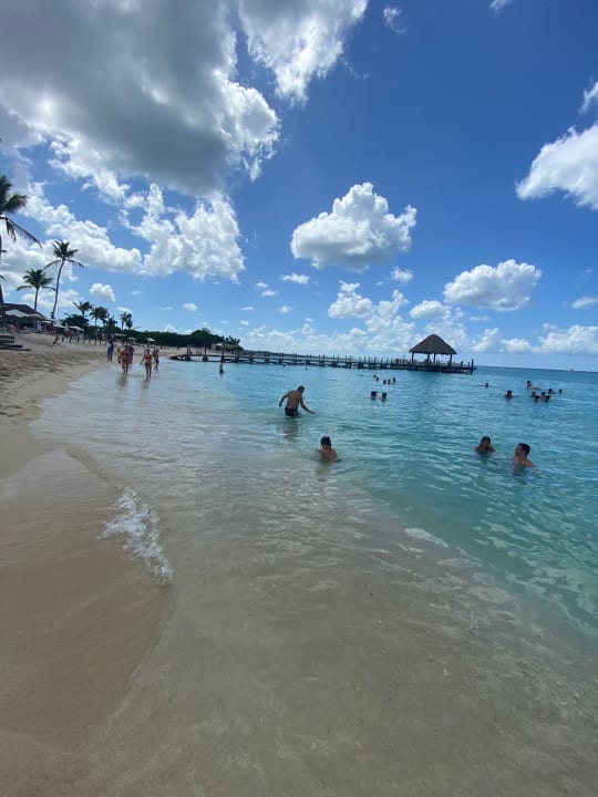 Strand Dreams Dominicus La Romana