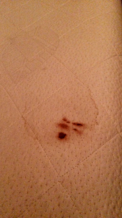 Die Matratze Wyndham Garden Potsdam