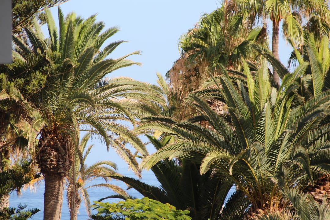 Hôtel H10 Las Palmeras - Le Jardin 2015 H10 Las Palmeras