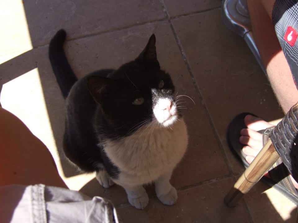 Beim Mittagessen Voyage Belek Golf & Spa