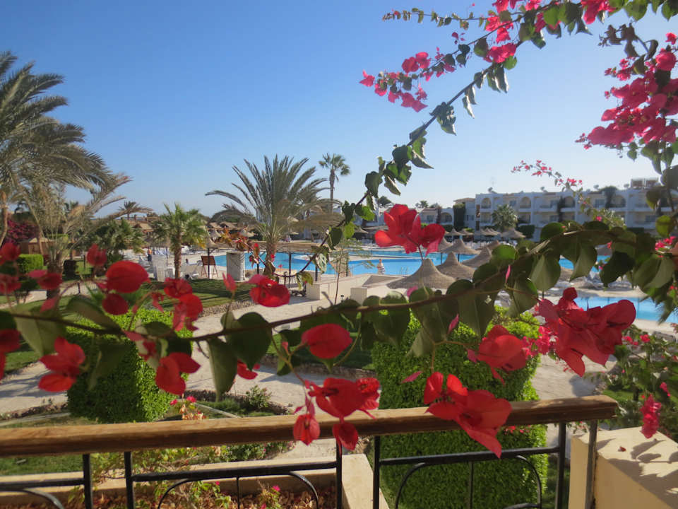 Ausblick vom Balkon LABRANDA Club Makadi