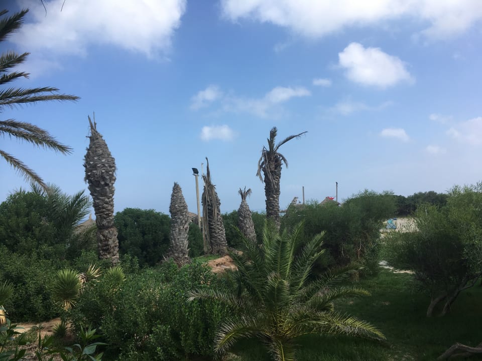 Gartenanlage Skanes Serail Aquapark