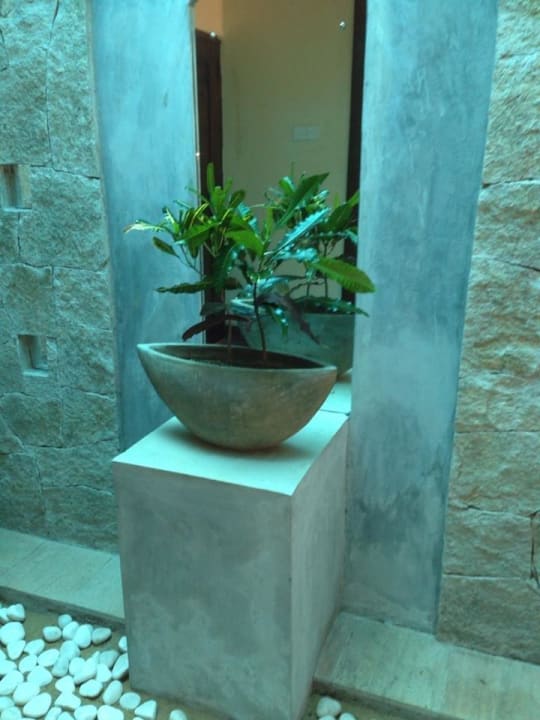 Eingangsbereich meines Zimmers Siddhalepa Ayurveda Health Resort