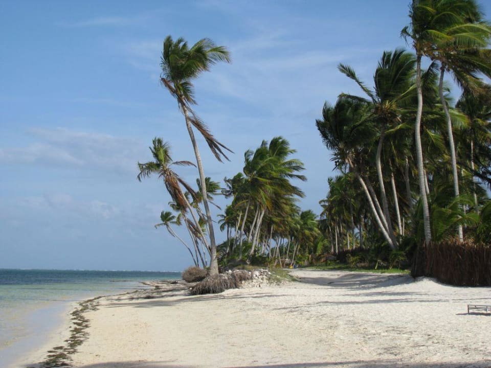 Strand Catalonia Royal Bavaro - Adults only