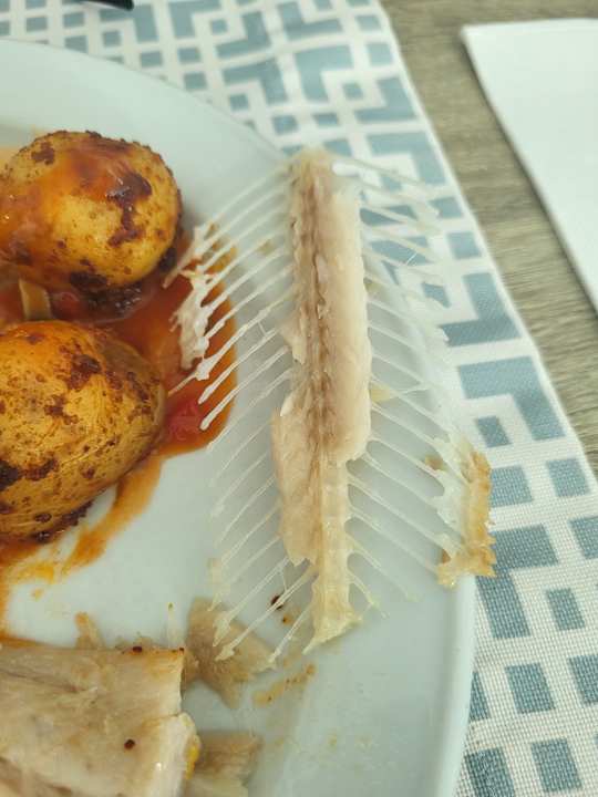 Gastro Canary Garden Club