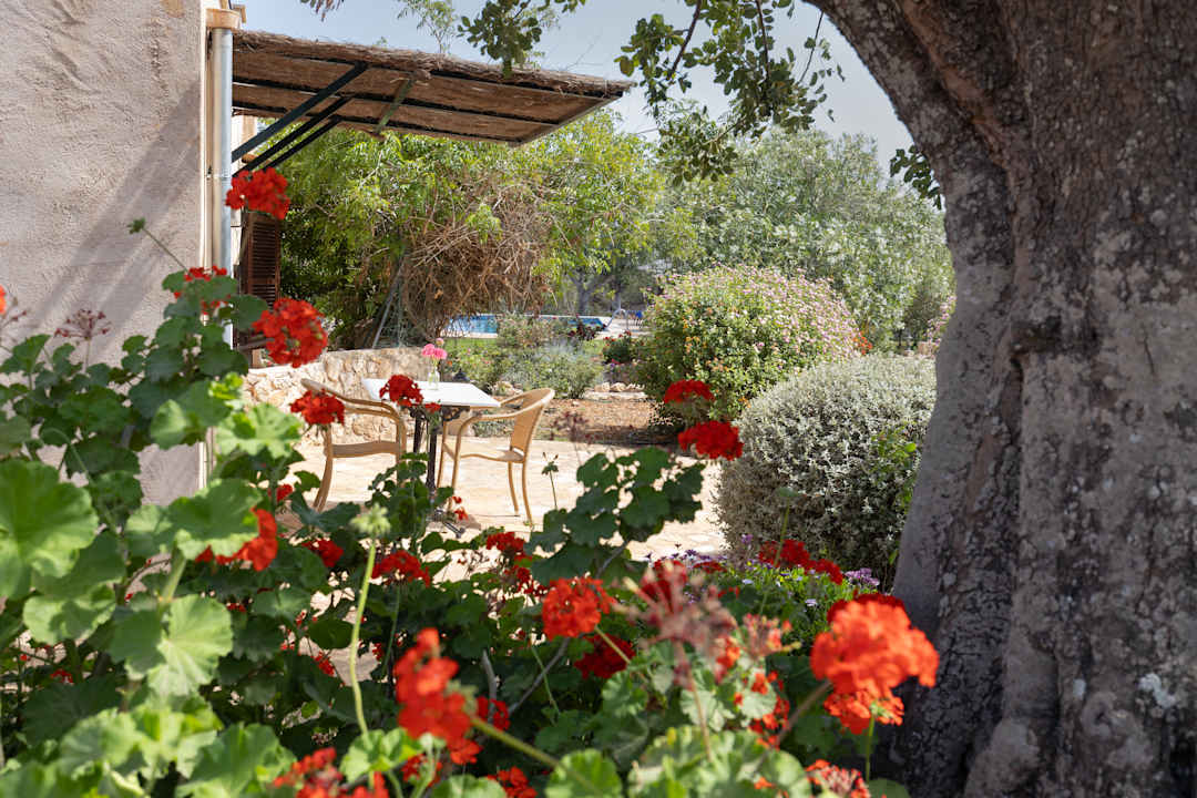 Zimmer Finca Son Marimon