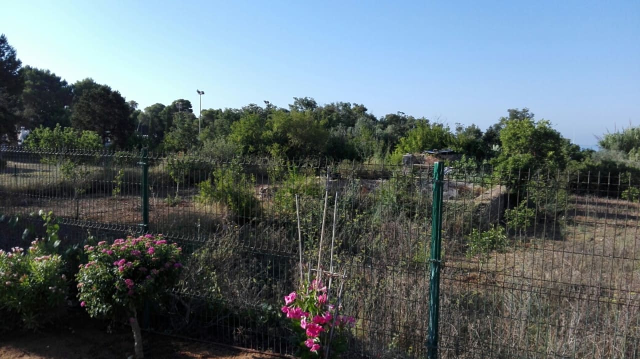 Ausblick TUI MAGIC LIFE Cala Pada