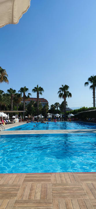 Pool Hane Family Resort