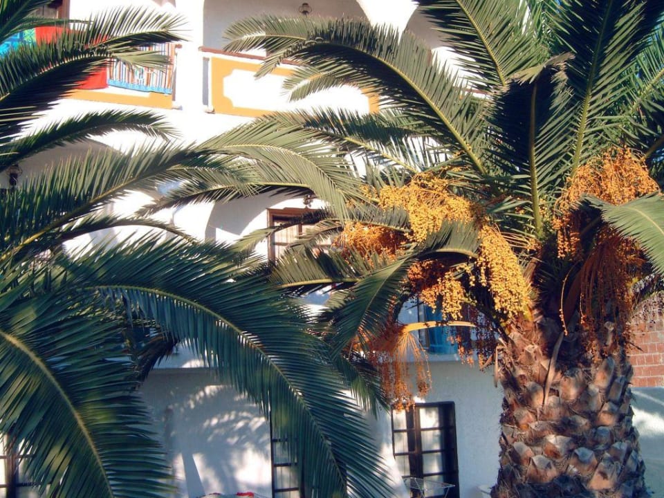 Blick auf den rückseitigen Hotelteil vom Pool aus Hotel Hermes