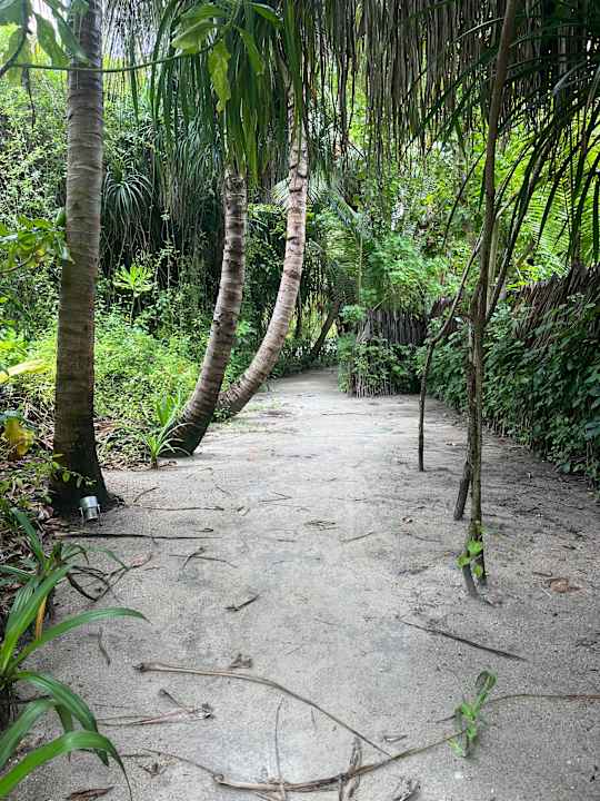 Gartenanlage Kuredu Island Resort & Spa